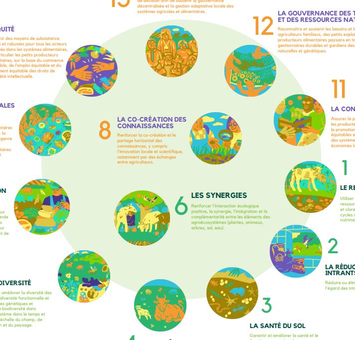 13 principes de l'agroécologie