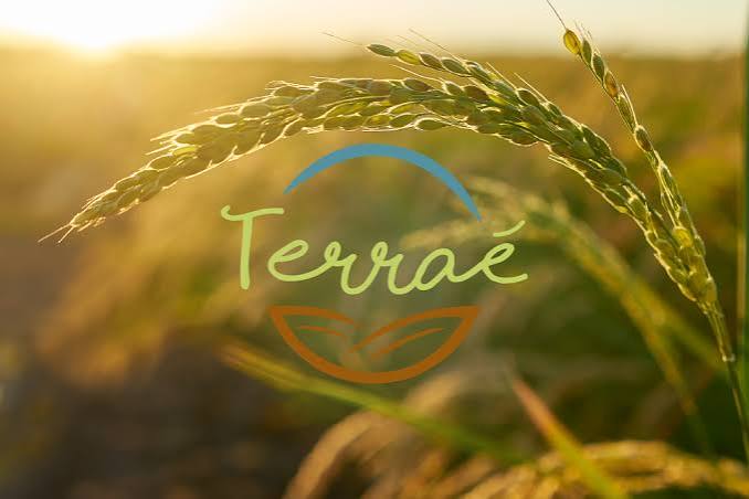 Terrae - Agroécologie
