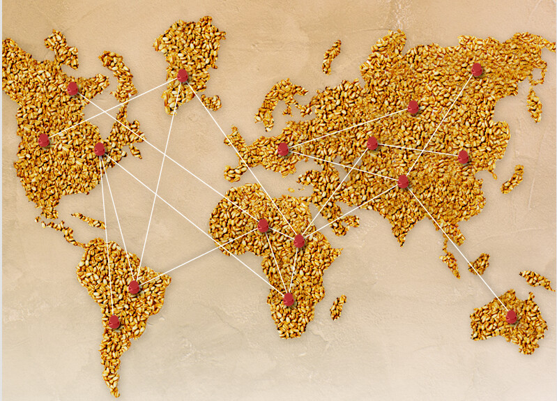 carte mondiale en graine