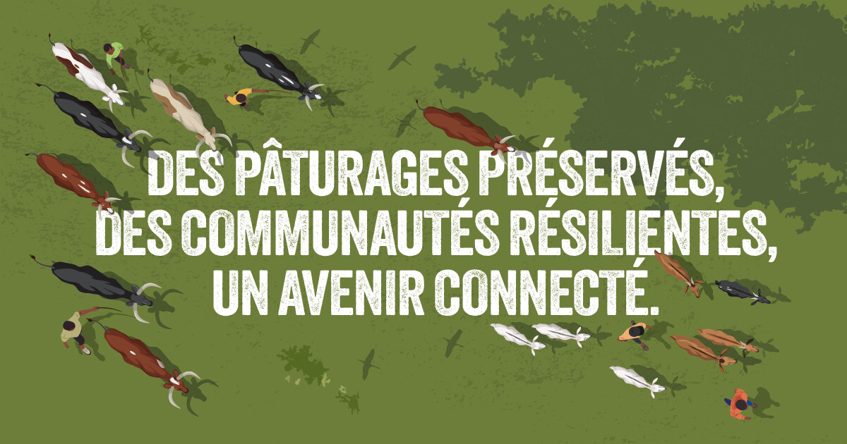 campagne pastoralisme VSF-International
